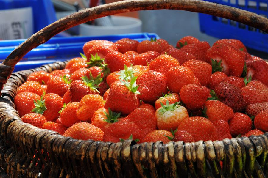 Recetas para aprovechar la temporada de fresas 