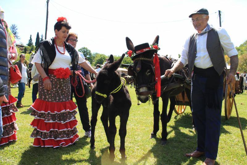 Los vecinos de la localidad del Oriente recorrieron las calles a caballo y ataviados con los mejores trajes flamencos.
