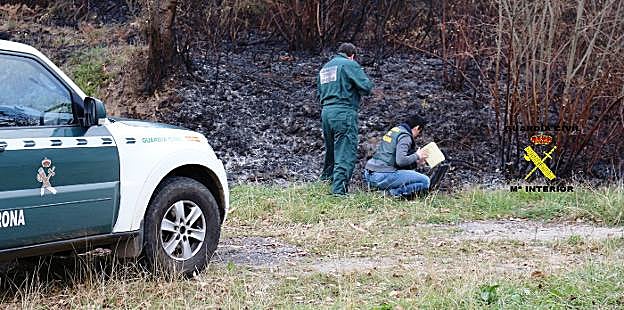Agentes del Seprona, trabajando en una zona incendiada. 