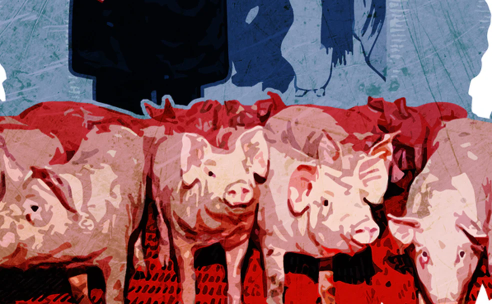El escándalo político de los cerdos en Cangas de Onís