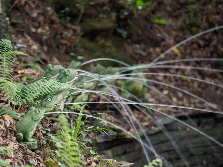 El Jardín Botánico Atlántico de Gijón es un espacio pensado para toda la familia. En este sentido, los niños pueden disfrutar de todas las instalaciones al tiempo que aprenden sobre botánica. No obstante, también cuenta con un área destinado exclusivamente para ellos. 