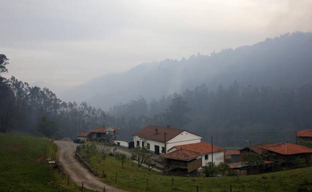 La intensa lluvia finiquita el incendio de Sierra de Sollera