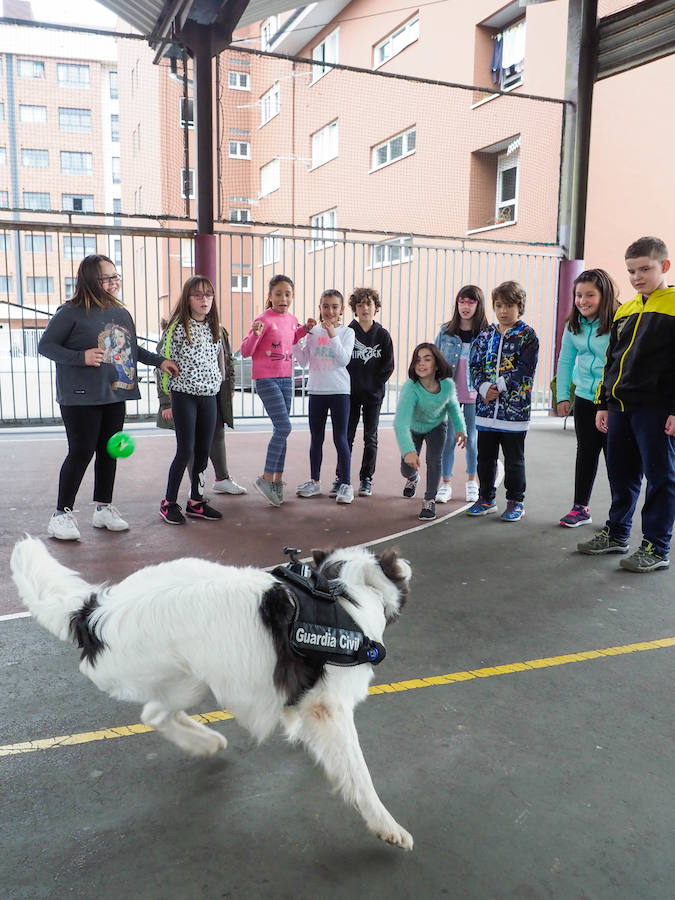 La Guardia Civil ha dado una lección de seguridad ciudadana a los niños del colegio CP Lloreu de Gijón