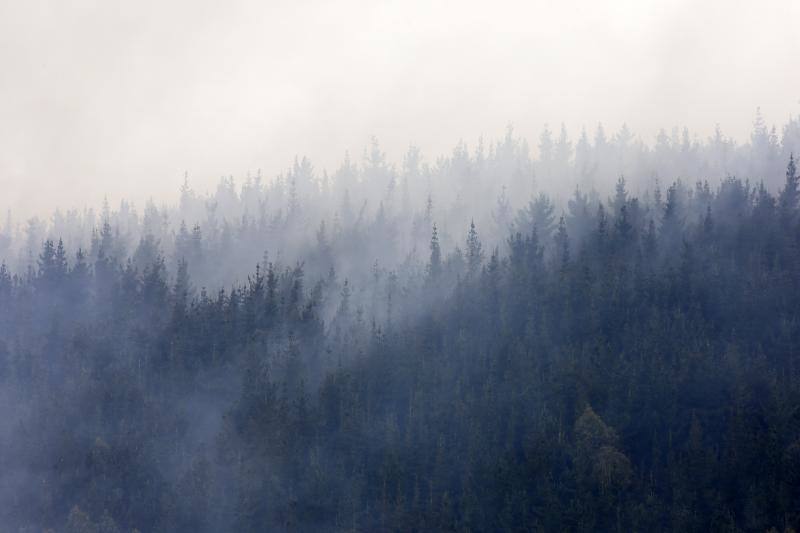 El incendio que afectó a los concejos de Candamo, Grado y Salas provocó una densa nube de humo que cubrió gran parte del centro de Asturias.