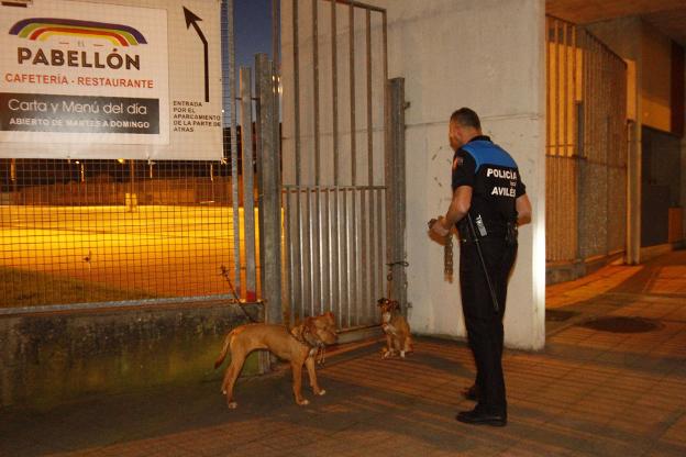 Un policía local recoge a dos perros de raza pit bull abandonados en la puerta del Pabellón de La Magdalena. 