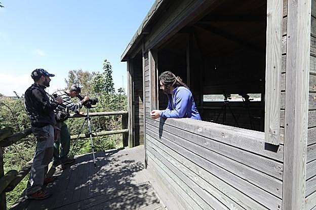 Ruta a Zeluán en el día de las aves