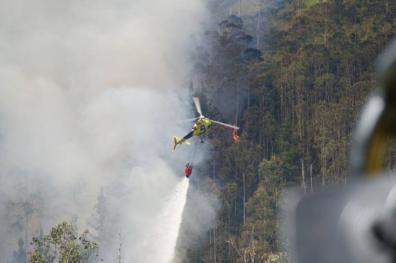 Aunque no hay poblaciones cercanas, en la zona contigua a los terrenos que están ardiendo, entre las localidades de Monte Alea y Alea, según indican los vecinos, existen varias cabañas y cuadras