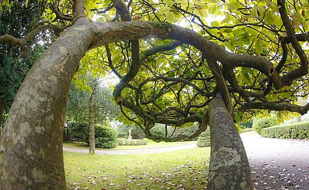 Jardines del Museo Evaristo Valle.
