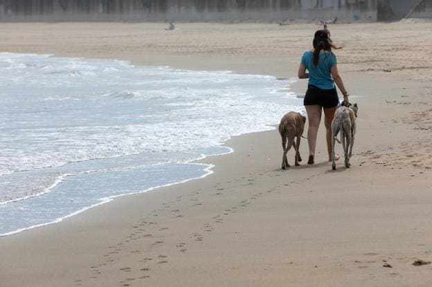 Una mujer paseando a sus dos perros en Salinas esta semana. 