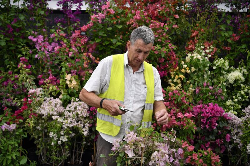 Ni la Reina de Inglaterra ha querido perderse el gran espectáculo del festival de flores y jardines más importante del mundo, que se celebra en la localidad británica de Chelsea. Impulsado en 1913 por la Real Sociedad de Horticultura, cuenta con más de 500 expositores y cada año supera los 160.000 visitantes. 