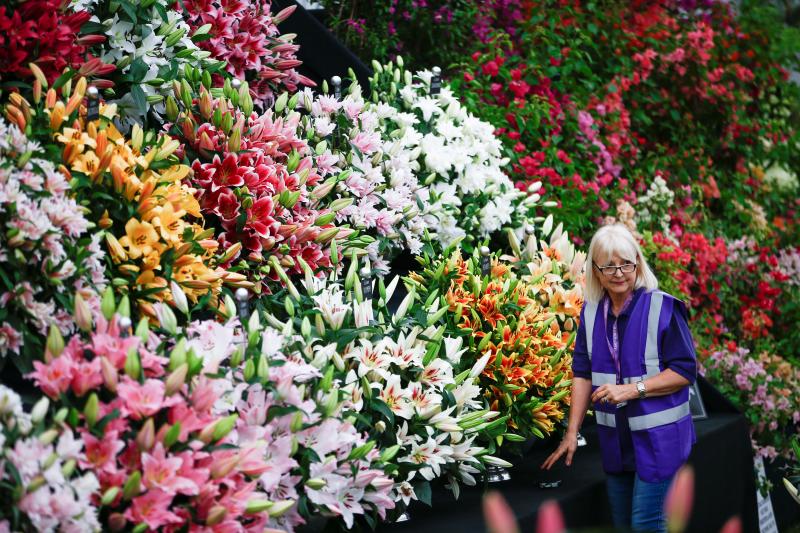 Ni la Reina de Inglaterra ha querido perderse el gran espectáculo del festival de flores y jardines más importante del mundo, que se celebra en la localidad británica de Chelsea. Impulsado en 1913 por la Real Sociedad de Horticultura, cuenta con más de 500 expositores y cada año supera los 160.000 visitantes. 