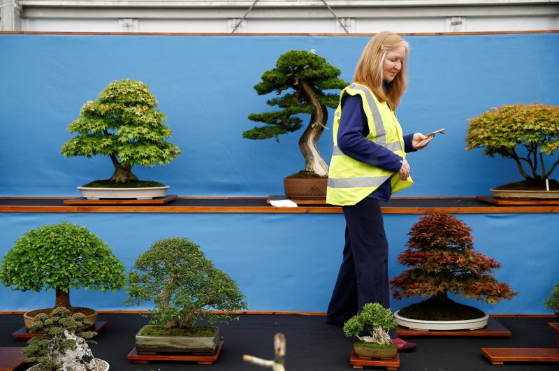 Ni la Reina de Inglaterra ha querido perderse el gran espectáculo del festival de flores y jardines más importante del mundo, que se celebra en la localidad británica de Chelsea. Impulsado en 1913 por la Real Sociedad de Horticultura, cuenta con más de 500 expositores y cada año supera los 160.000 visitantes. 