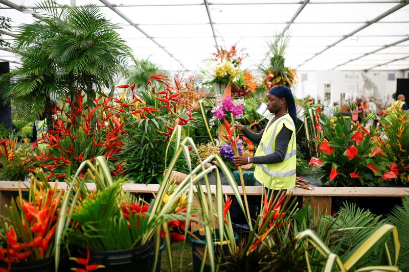 Ni la Reina de Inglaterra ha querido perderse el gran espectáculo del festival de flores y jardines más importante del mundo, que se celebra en la localidad británica de Chelsea. Impulsado en 1913 por la Real Sociedad de Horticultura, cuenta con más de 500 expositores y cada año supera los 160.000 visitantes. 