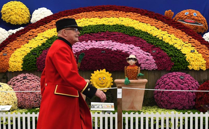 Ni la Reina de Inglaterra ha querido perderse el gran espectáculo del festival de flores y jardines más importante del mundo, que se celebra en la localidad británica de Chelsea. Impulsado en 1913 por la Real Sociedad de Horticultura, cuenta con más de 500 expositores y cada año supera los 160.000 visitantes. 