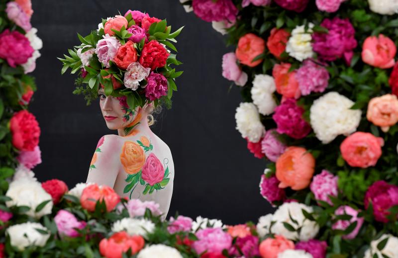 Ni la Reina de Inglaterra ha querido perderse el gran espectáculo del festival de flores y jardines más importante del mundo, que se celebra en la localidad británica de Chelsea. Impulsado en 1913 por la Real Sociedad de Horticultura, cuenta con más de 500 expositores y cada año supera los 160.000 visitantes. 
