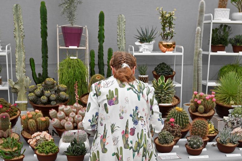 Ni la Reina de Inglaterra ha querido perderse el gran espectáculo del festival de flores y jardines más importante del mundo, que se celebra en la localidad británica de Chelsea. Impulsado en 1913 por la Real Sociedad de Horticultura, cuenta con más de 500 expositores y cada año supera los 160.000 visitantes. 