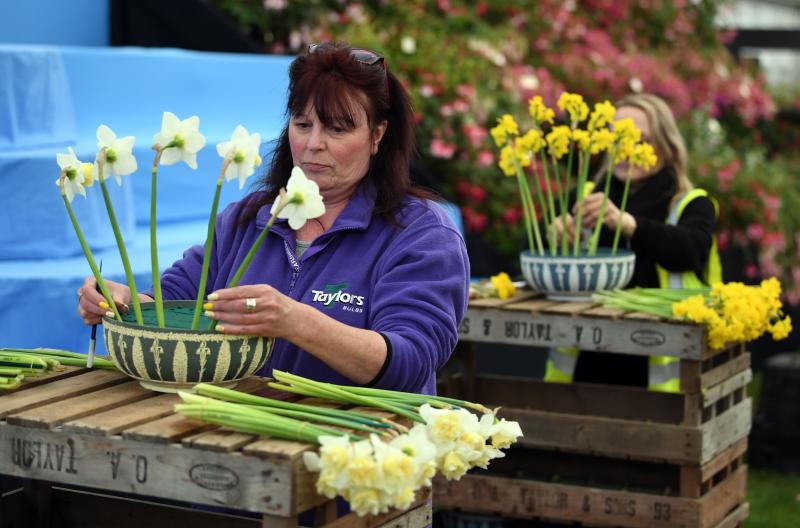 Ni la Reina de Inglaterra ha querido perderse el gran espectáculo del festival de flores y jardines más importante del mundo, que se celebra en la localidad británica de Chelsea. Impulsado en 1913 por la Real Sociedad de Horticultura, cuenta con más de 500 expositores y cada año supera los 160.000 visitantes. 