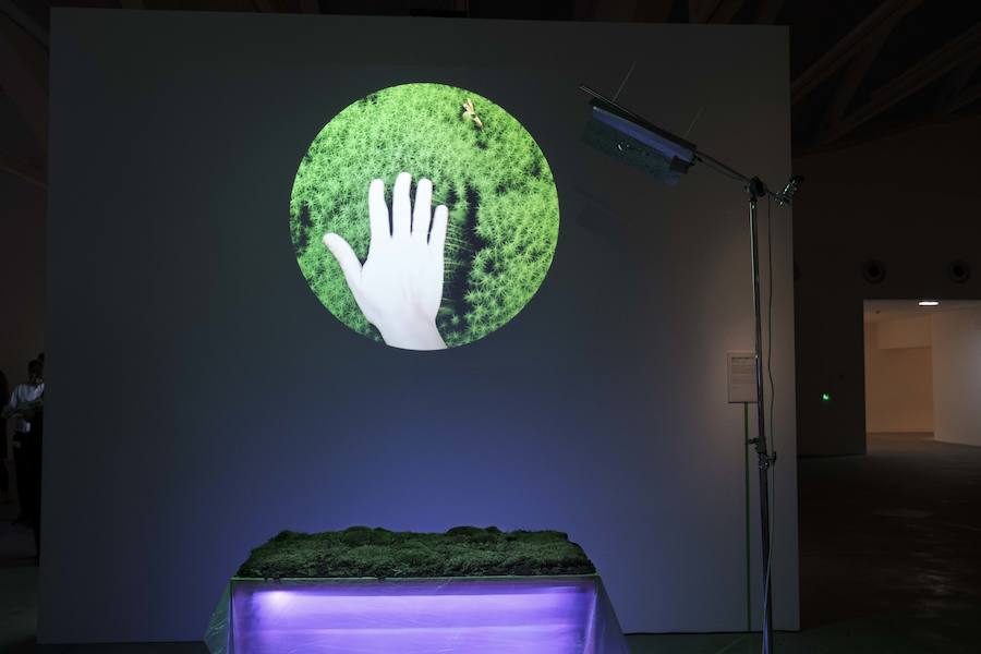 Vanessa Lorenzo 'Mossphone'.