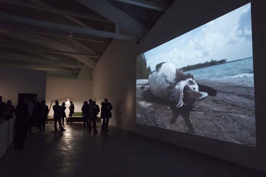 Chris Jordan 'Albatross'.