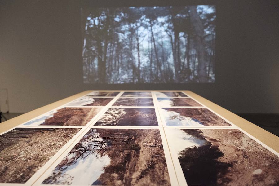 Marcus Maeder 'Perimeter Pfymwald'.