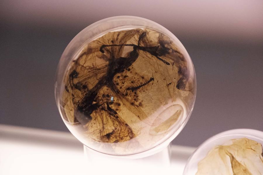 Annemarie Maes 'Intelligent Guerilla Beehive'.