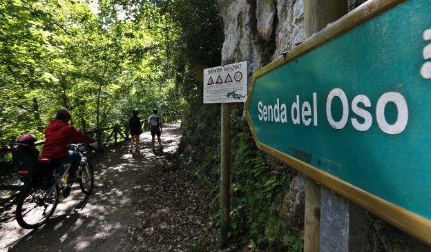 Un ciclista y un par de caminantes, ayer por la Senda del Oso. 