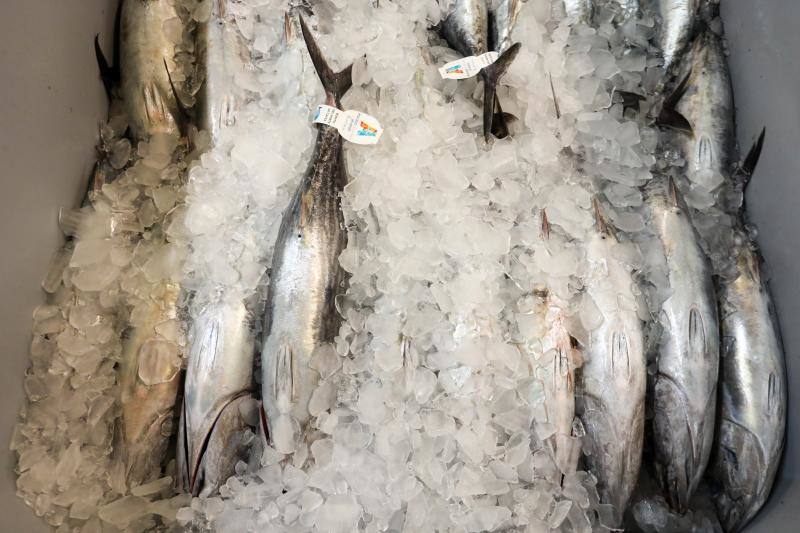 El 'Esmeralda tercero', 'Berriz Amatxo' y 'Goenkale' amarraron ayer en el muelle pesquero después de quince días de pesca