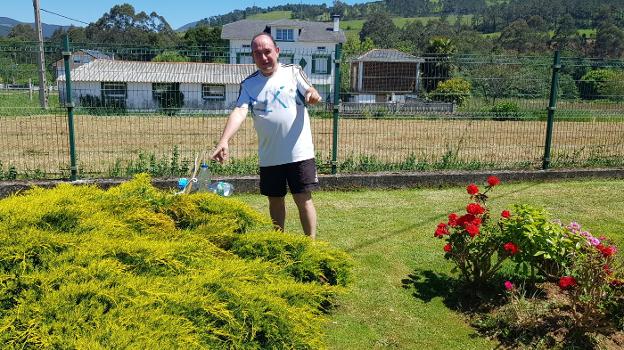 Nido en Valdés. Roberto Fernández Suárez señala el lugar de donde fue retirado ayer un enjambre de avispa asiática. 