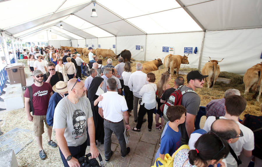 El alcalde en funciones, Wenceslao López, destacó este domingo el éxito de la feria de La Ascensión que se ha celebrado durante el fin de semana en diversos escenarios de la ciudad