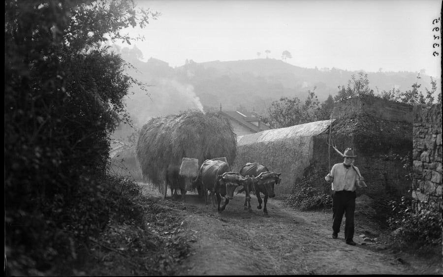 Un carro de bueyes en una caleya de Gijón.