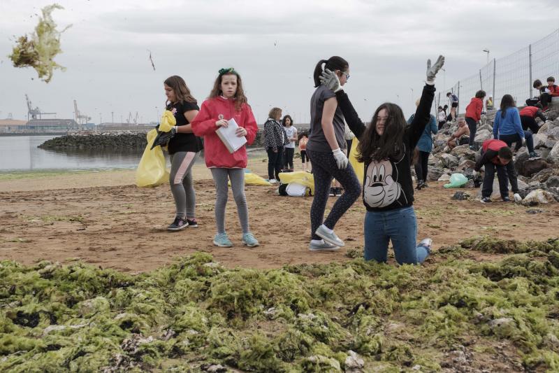 Un centenar de alumnos de quinto y sexto de Primaria del colegio Príncipe de Asturias de Gijón ha participado en el proyecto ambiental 'Aulas Libera' de Ecoembes y SEO BirdLife y han retirado varias bolsas de basura de la playa de El Arbeyal. Dentro había colillas, plásticos, incluso restos de pesticidas.