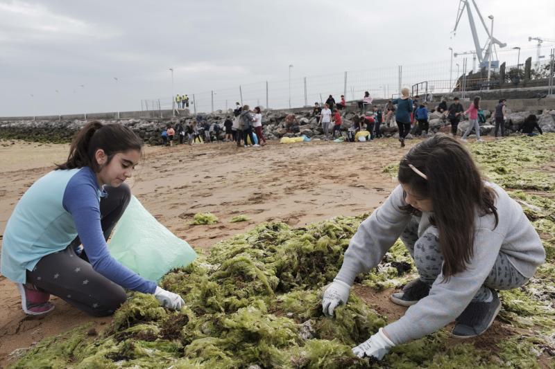 Un centenar de alumnos de quinto y sexto de Primaria del colegio Príncipe de Asturias de Gijón ha participado en el proyecto ambiental 'Aulas Libera' de Ecoembes y SEO BirdLife y han retirado varias bolsas de basura de la playa de El Arbeyal. Dentro había colillas, plásticos, incluso restos de pesticidas.