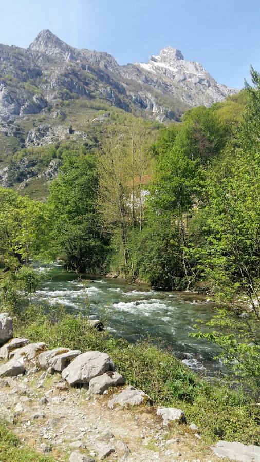 Unas espectaculares imágenes que reflejan a la perfección la belleza de esta senda que discurre a través de los Picos de Europa.