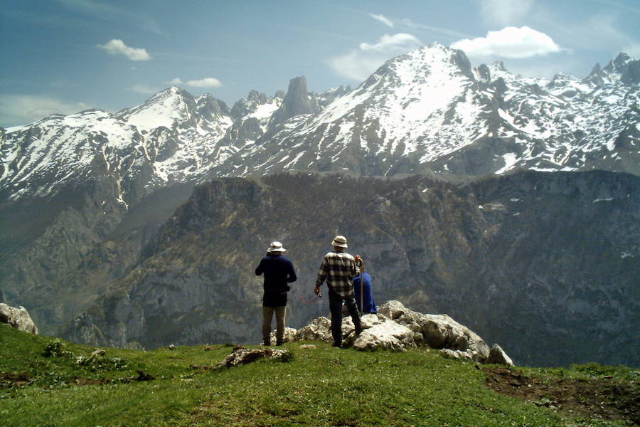 El macizo central de los Picos de Europa, con el Urriellu en medio, desde la majada de Ondón.