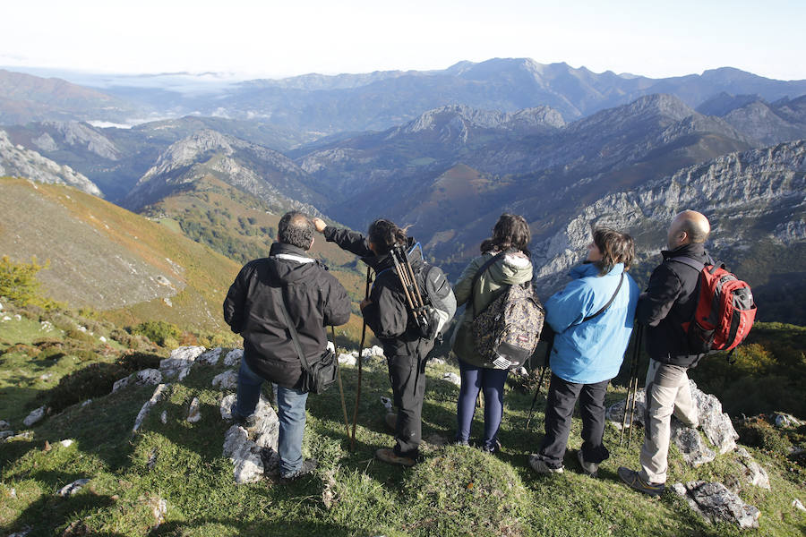 El Parque Natural de Redes, que comprende los concejos de Sobrescobio y Caso, es un lugar adecuado para la berrea de los ciervos.