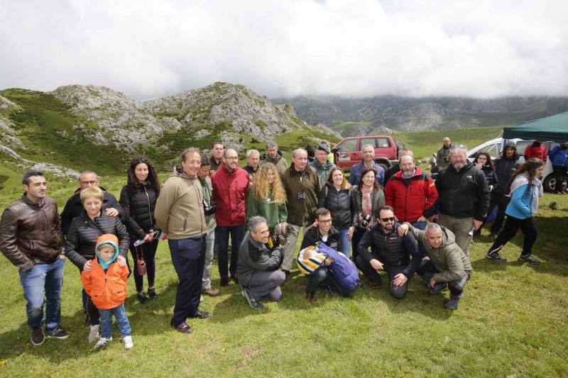 'Hugo', 'Lorien' y 'Niebla' llegan al Parque Nacional para sumarse al proyecto de recuperación de la especie