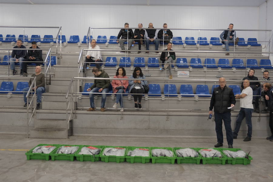 La Lonja comienza hoy la temporada de bonito con al subasta de 7.000 kilos del Atlántico