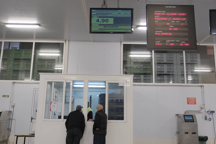 La Lonja comienza hoy la temporada de bonito con al subasta de 7.000 kilos del Atlántico