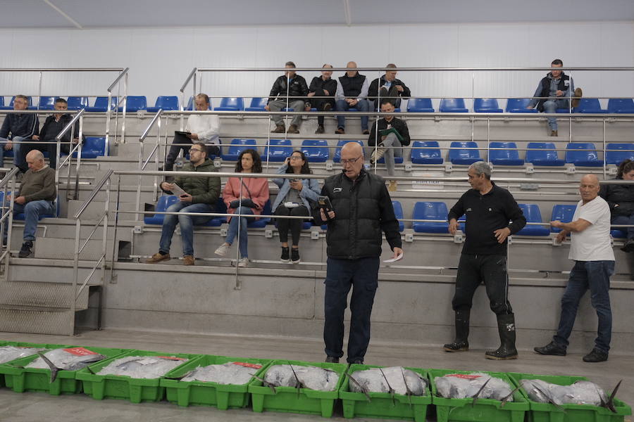 La Lonja comienza hoy la temporada de bonito con al subasta de 7.000 kilos del Atlántico