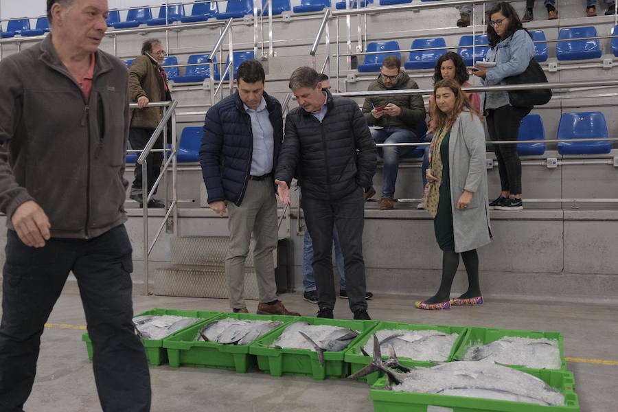 La Lonja comienza hoy la temporada de bonito con al subasta de 7.000 kilos del Atlántico