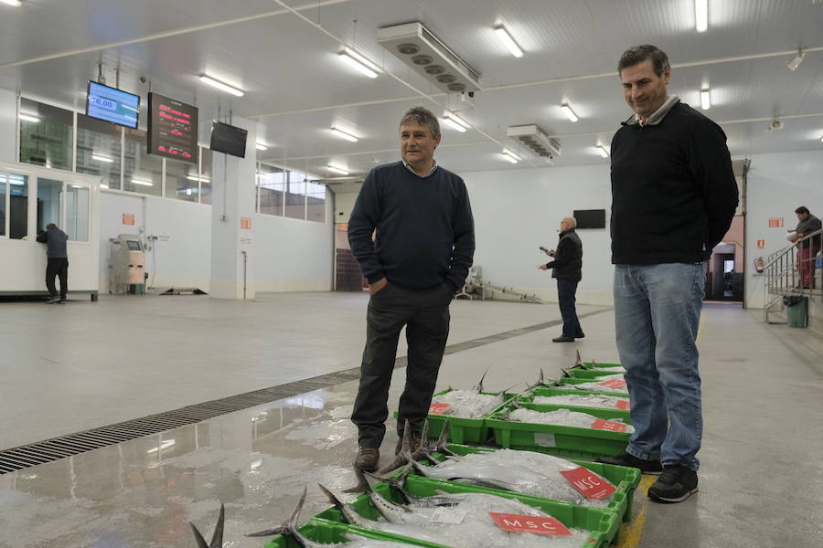La Lonja comienza hoy la temporada de bonito con al subasta de 7.000 kilos del Atlántico