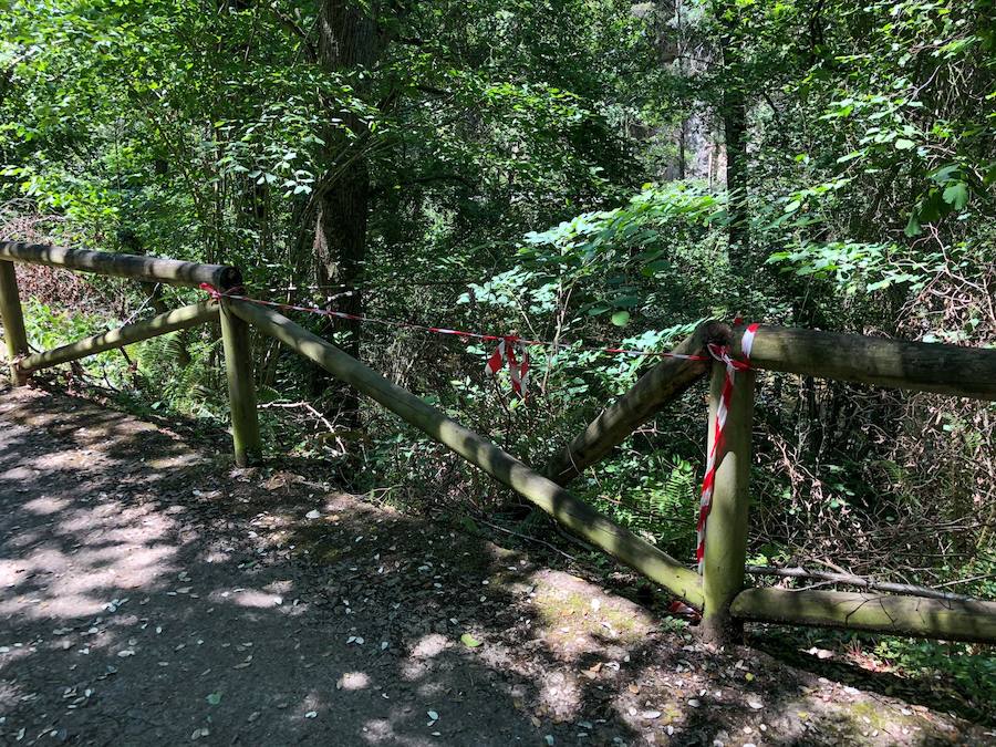 A pesar de la anuncianda «intervención de urgencia» en la Senda del Oso, tras los dos accidentes de mayo, uno de ellos mortal, la ruta aún permanece con desperfectos. Tal y como EL COMERCIO pudo comprobar este fin de semana, en el tramo de Proaza a Teverga, en menos de tres kilómetros, se pueden encontrar más de diez puntos con vallas rotas, con y sin señalización del peligro que ellos conlleva. 