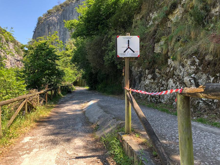 A pesar de la anuncianda «intervención de urgencia» en la Senda del Oso, tras los dos accidentes de mayo, uno de ellos mortal, la ruta aún permanece con desperfectos. Tal y como EL COMERCIO pudo comprobar este fin de semana, en el tramo de Proaza a Teverga, en menos de tres kilómetros, se pueden encontrar más de diez puntos con vallas rotas, con y sin señalización del peligro que ellos conlleva. 