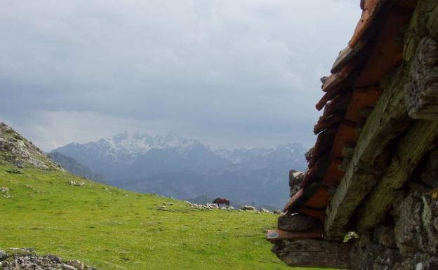 Majada de Cerboes.