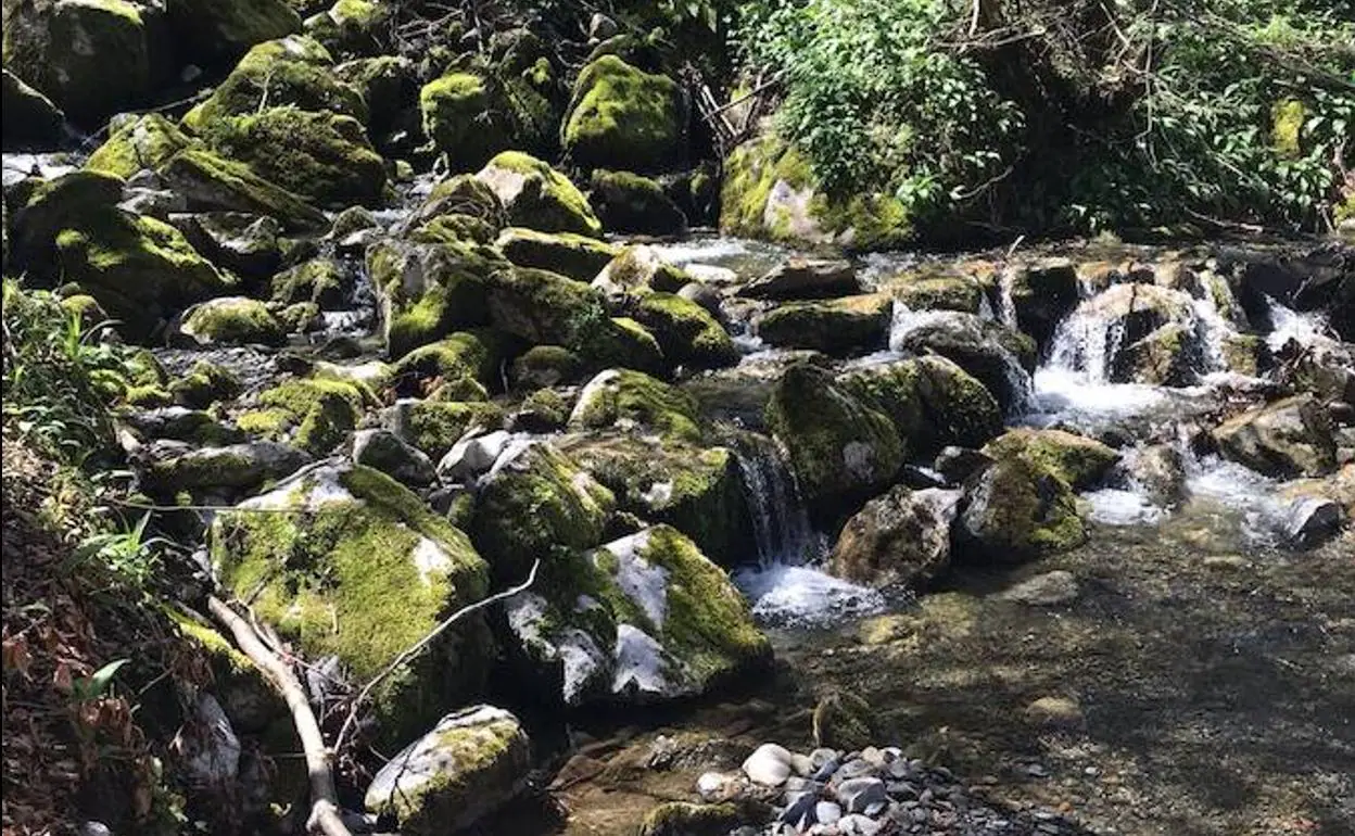 Foces del Pino y río Aller