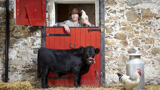El toro Archie, con 76,2 centímetros de altura, pasó a la historia por ser el más bajito del mundo.