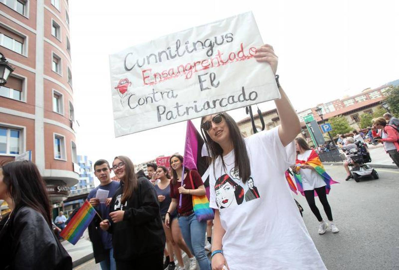 Cientos de personas participaron ayer en los distintos actos celebrados en Asturias con motivo del Día del Orgullo Gay. En Oviedo reivindicaron en una marcha un 'Orgullo Crítico' y a favor de la diversidad sexual.