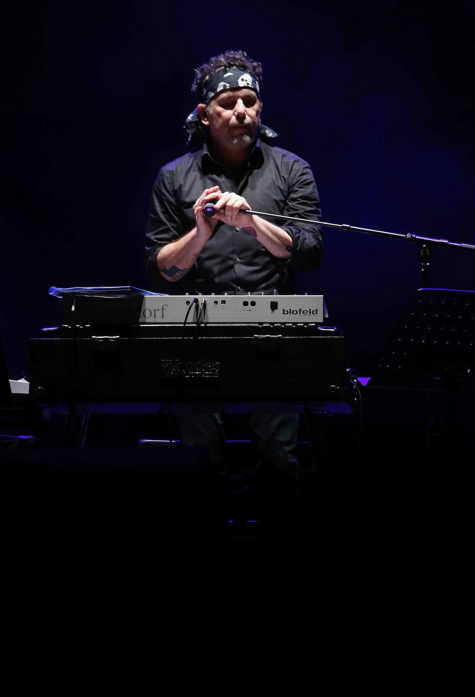  ¡Búscate en entre los asistentes al recital que tuvo como escenario el festival Metrópoli!