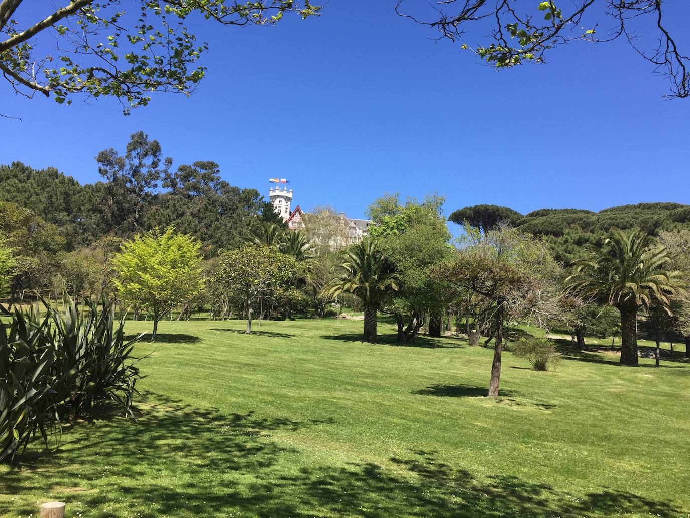 8. Santander es una ciudad que presume de tener playas y amplias zonas verdes. El mayor pulmón de la ciudad es el Parque Atlántico de las Llamas (609.194 m²), seguido por el Parque de La Magdalena (288.042 m²) y el Parque de La Remonta (286.333 m²), según el ranking de Holidu.