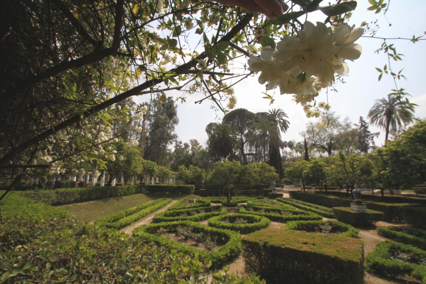5. Sevilla destina cada año 48 millones de euros al cuidado de sus zonas verdes. Entre los más grandes están el Parque del Alamillo, con más de un millón de metros cuadrados, que cuenta con lagos, zonas para picnic y ferrocarril. Otros parques a visitar son el del Tamarguillo, el de Miraflores o el de María Luisa, según el ranking de Holidu.
